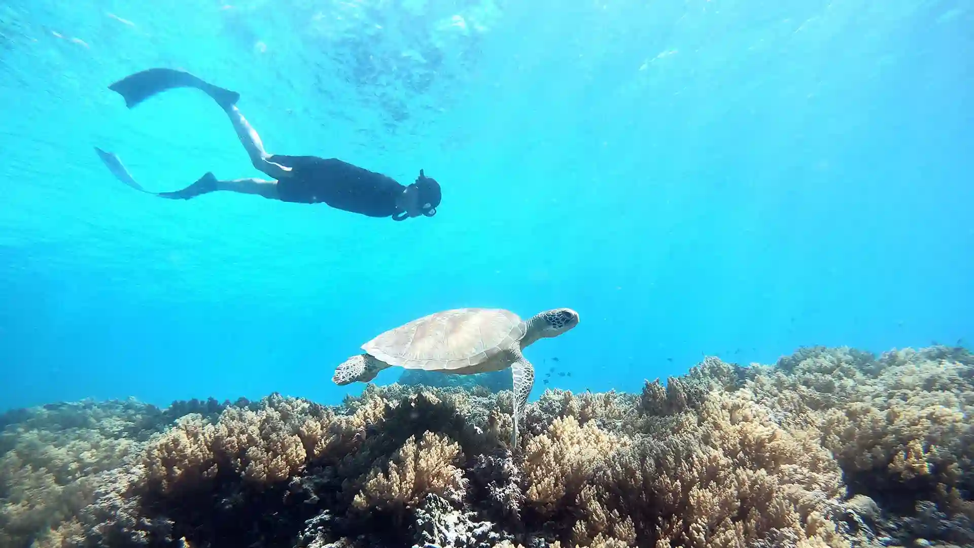 Scenic view of hidden gems in Lombok